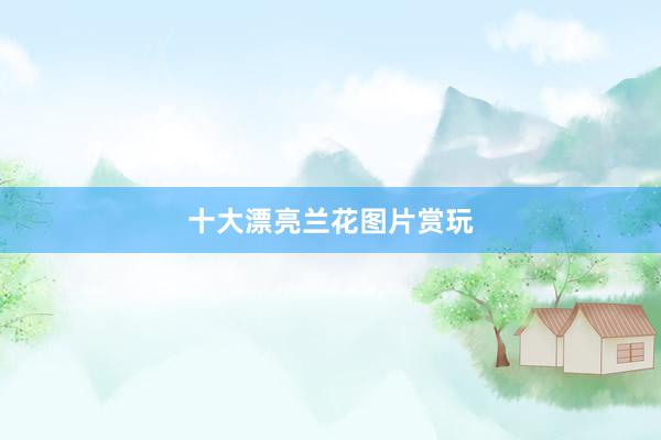 十大漂亮兰花图片赏玩