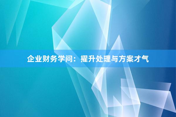 企业财务学问：擢升处理与方案才气